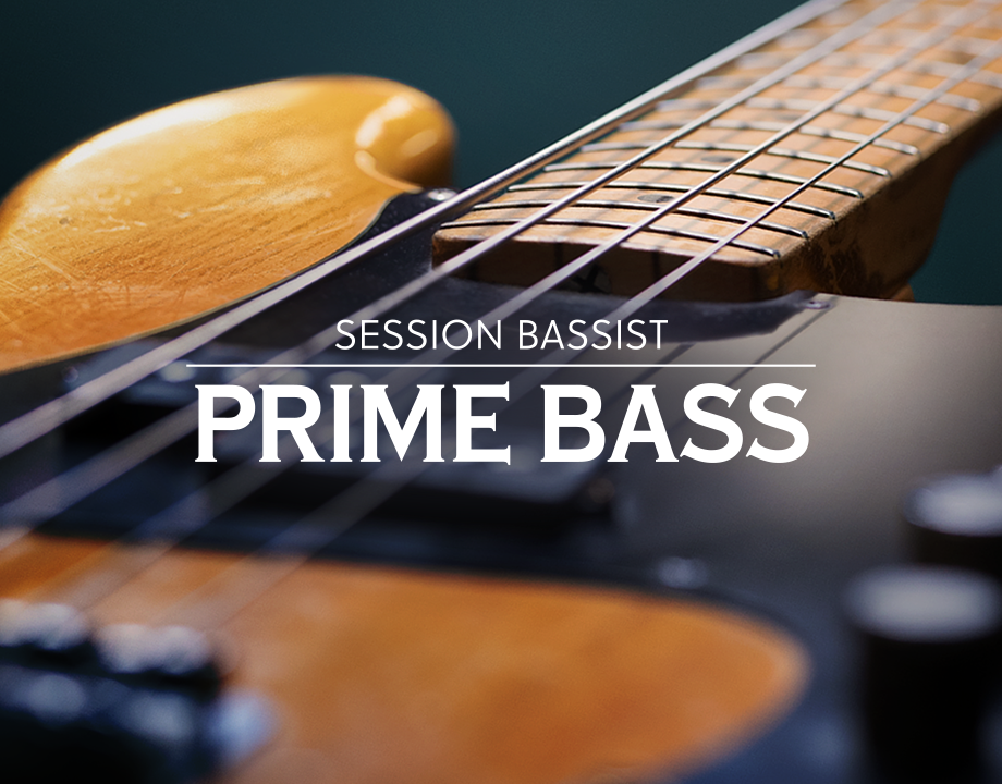 Session系列电贝司 | Native Instruments Session Bassist Prime Bass v1.0.1 KONTAKT-VST云