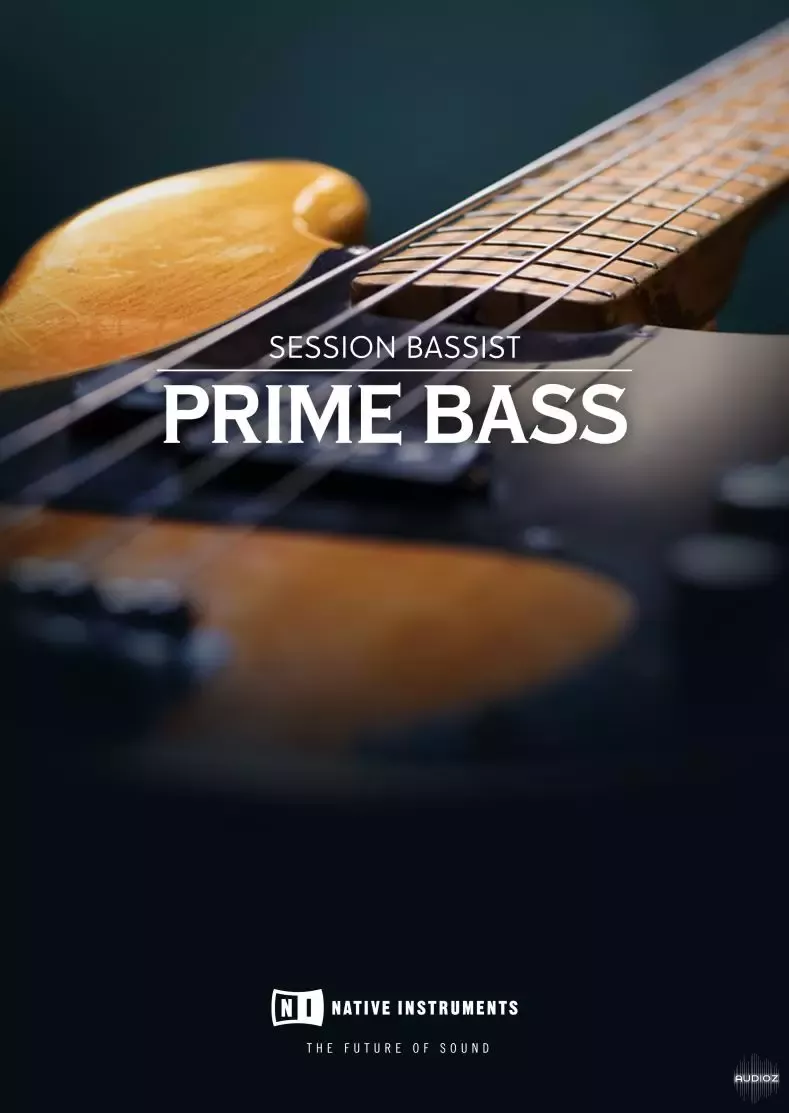 Session系列电贝司 | Native Instruments Session Bassist Prime Bass v1.0.2 KONTAKT-VST云