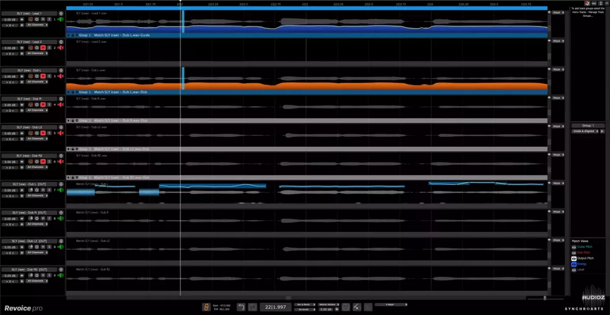 专业人声对轨工具 | Synchro Arts ReVoice Pro v5.1.19 WIN版-VST云
